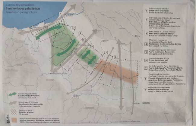 Jarraitasun paisajistikoak